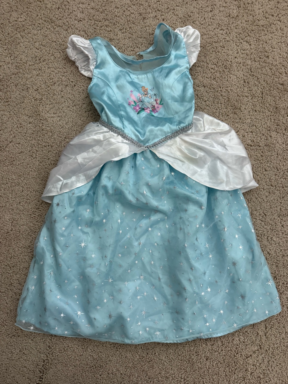 Disneyland Cinderella dress age 4